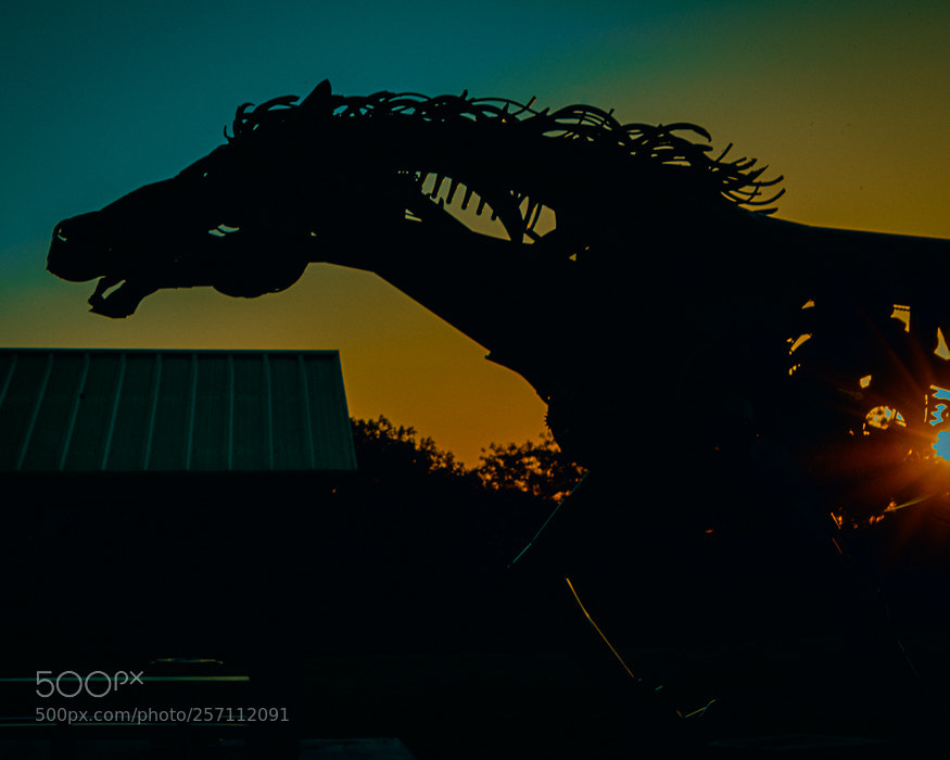 Nikon D7100 sample photo. Sunset run photography