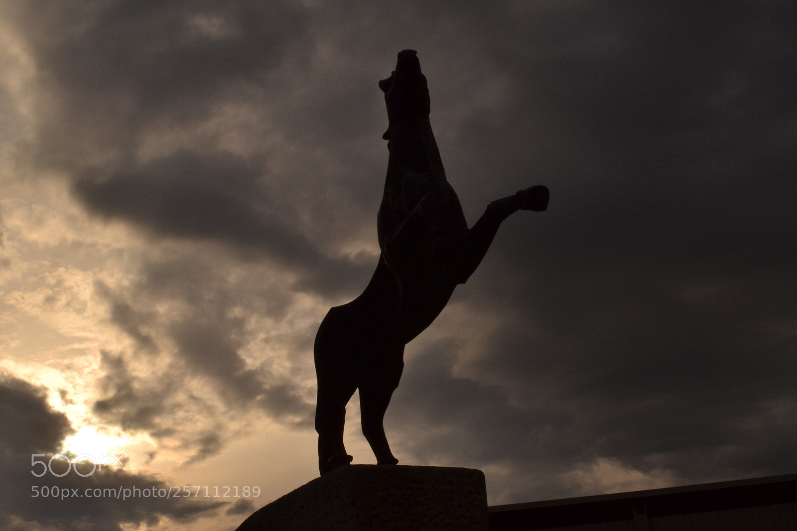 Nikon D3100 sample photo. Hipodromo de antela photography