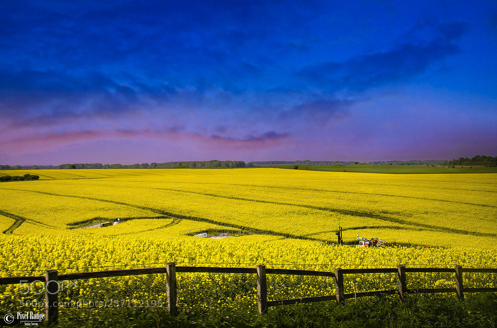 Nikon D7000 sample photo. A field photography