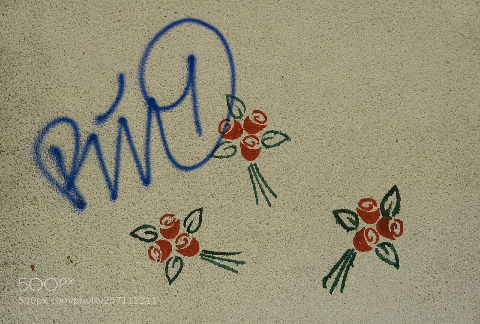 Sony a6000 sample photo. Wallflowers photography