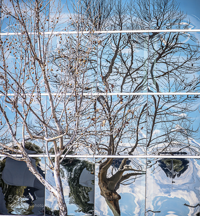 Nikon D7100 sample photo. Reflecting life photography