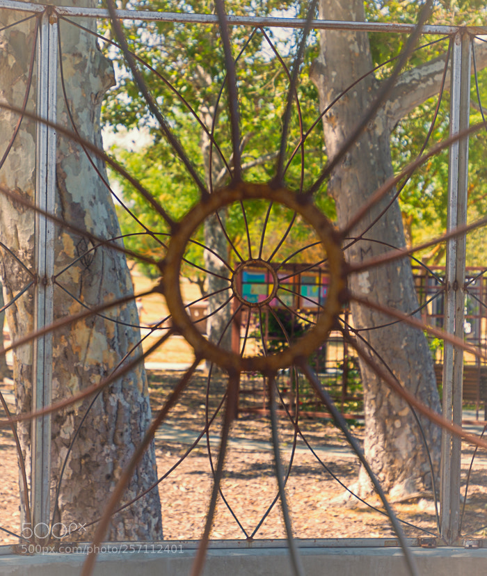 Nikon D7100 sample photo. Framing nature photography
