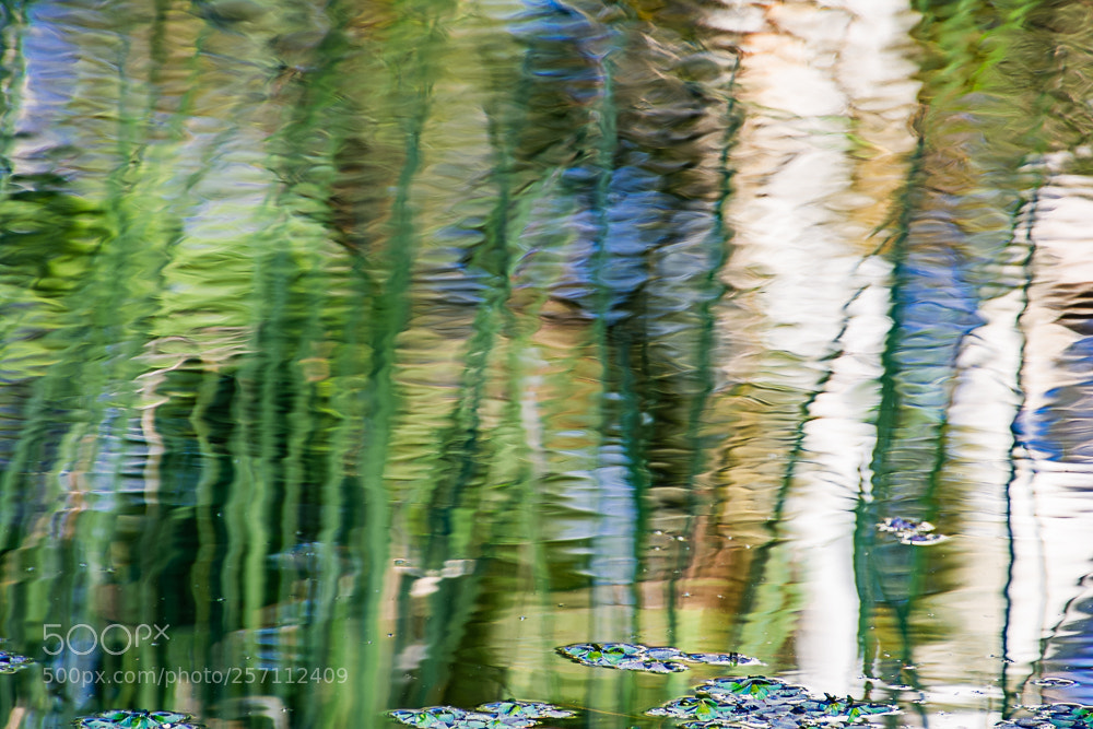 Nikon D7100 sample photo. Sitting by pond photography