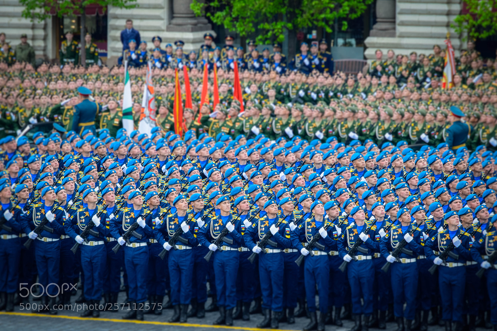 Nikon D5300 sample photo. Parade photography