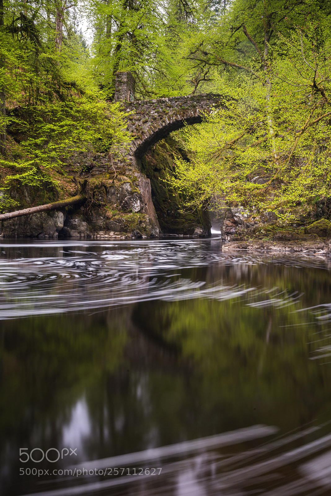 Nikon D750 sample photo. Leafy hermitage photography