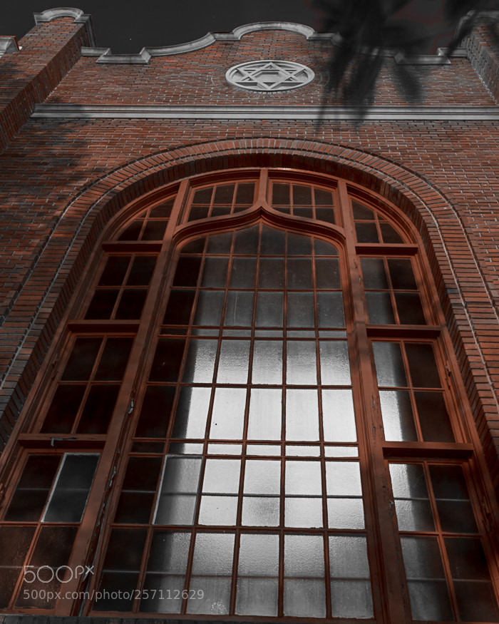Nikon D7100 sample photo. Temple beth photography