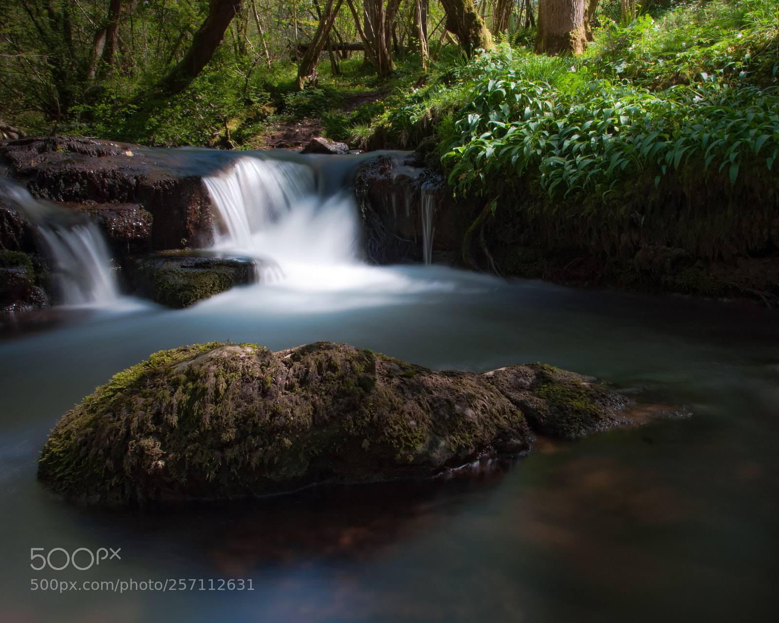 Nikon D90 sample photo. River ennig photography