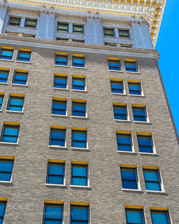 Nikon D7100 sample photo. Scccd fulton street office photography