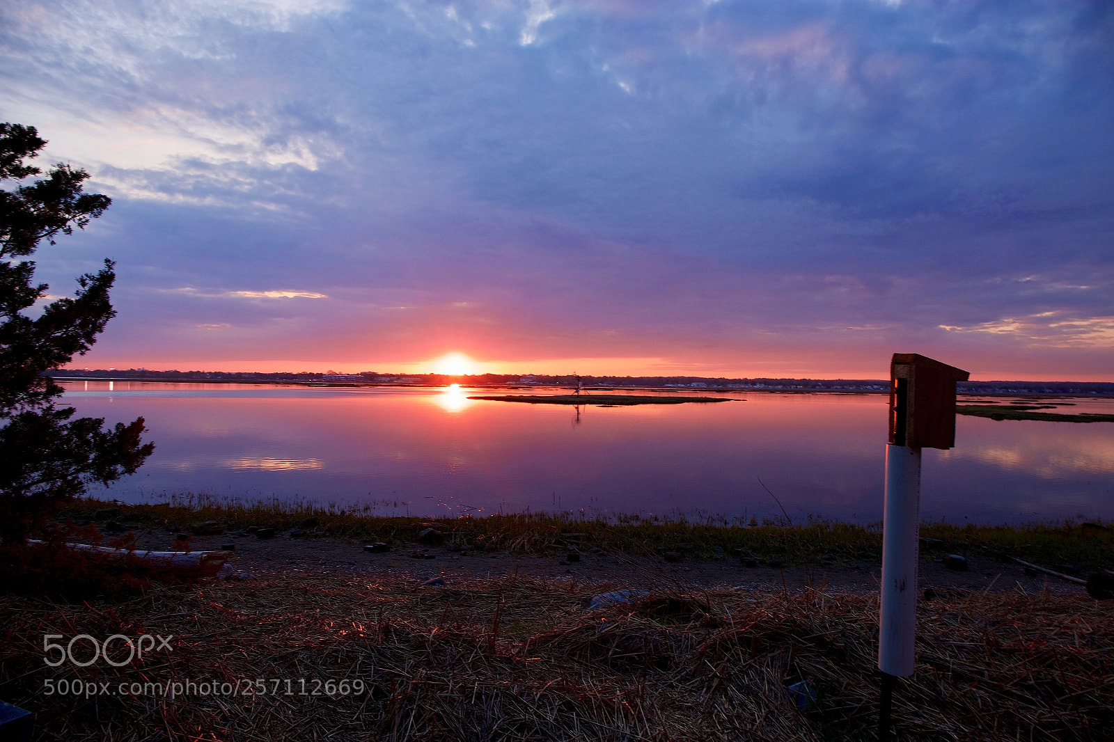 Canon EOS 6D sample photo. Untitled photography