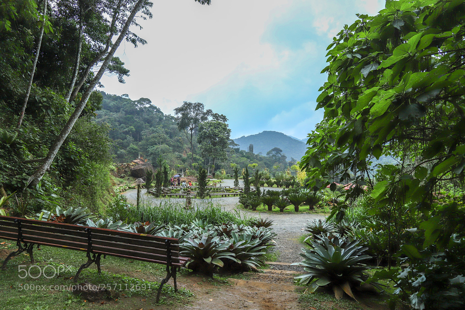 Canon EOS 6D Mark II sample photo. Vale do amor photography