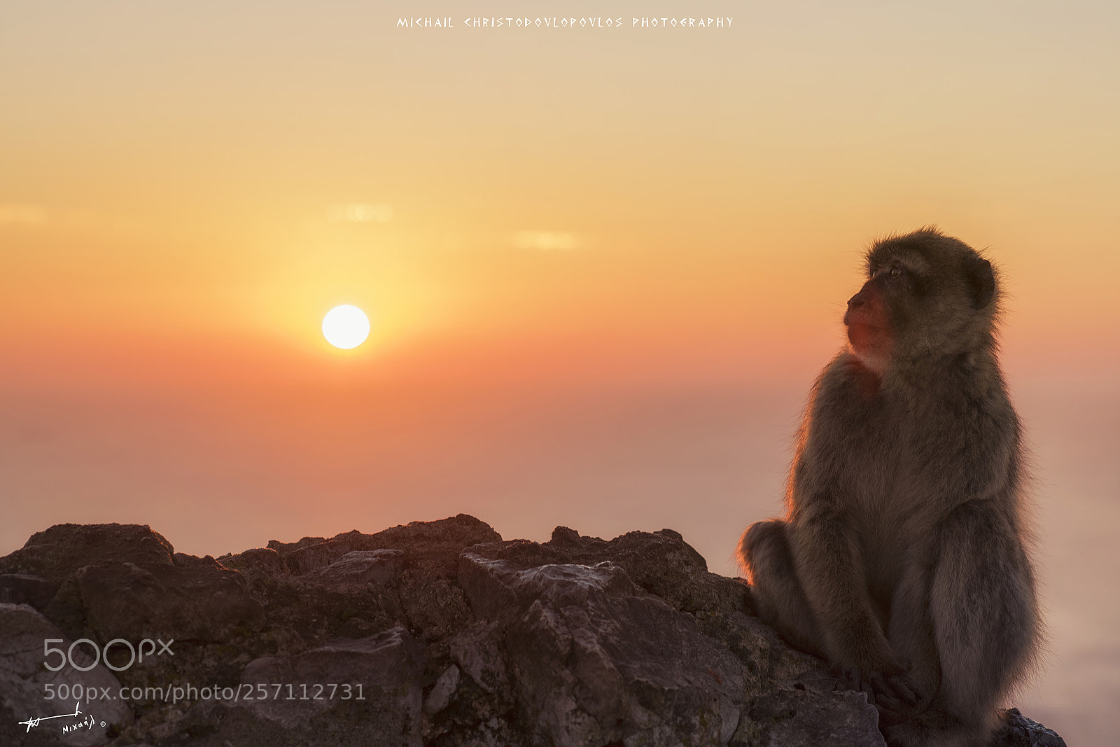 Nikon D810 sample photo. Gibraltar photography