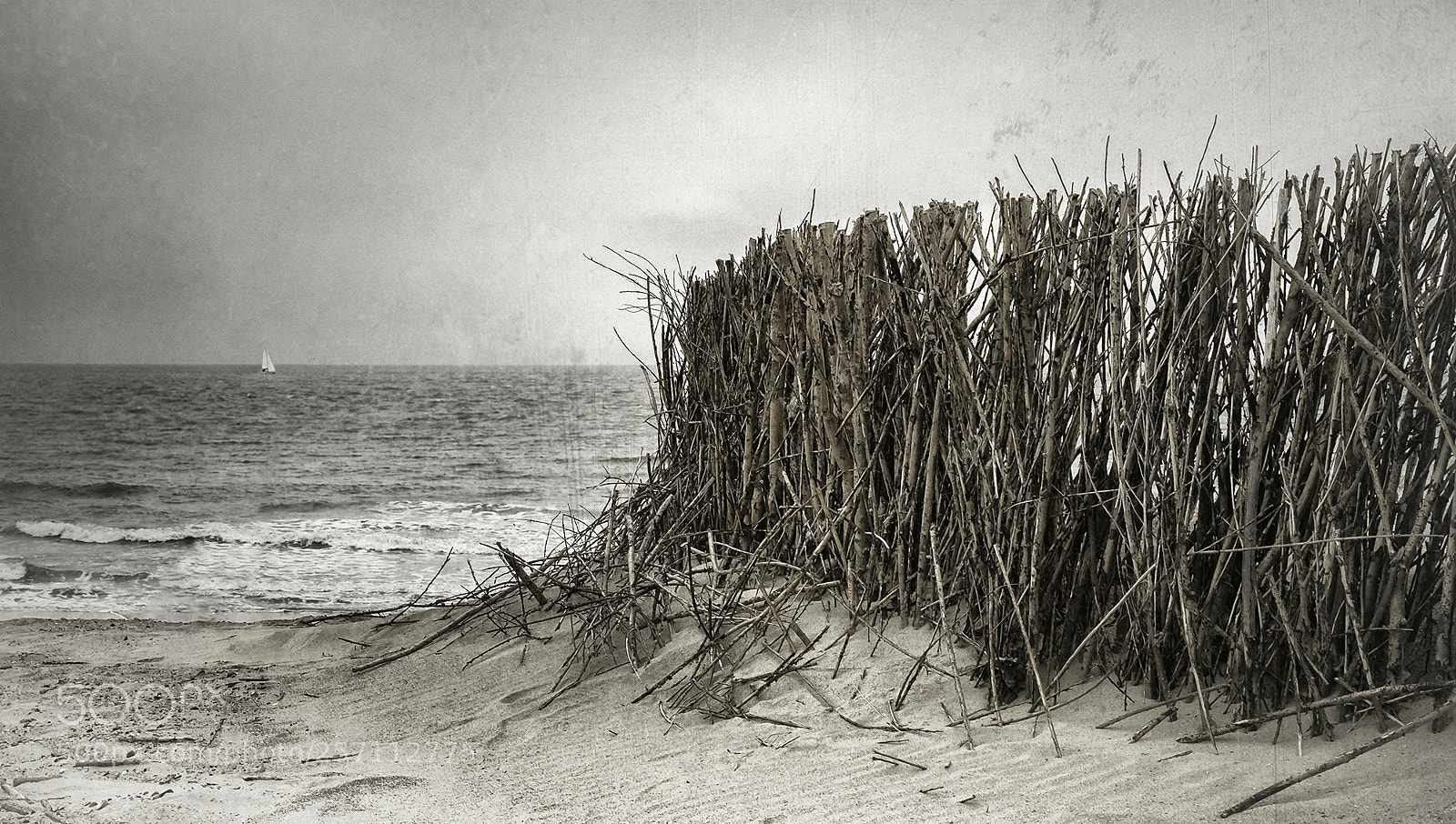Canon EOS 80D sample photo. Dune shore photography