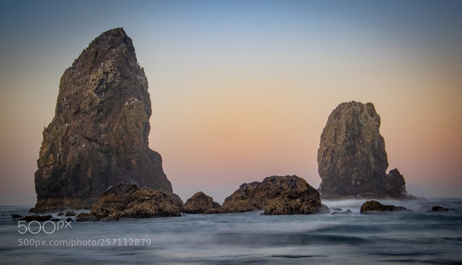 Canon EOS 7D Mark II sample photo. The needles photography