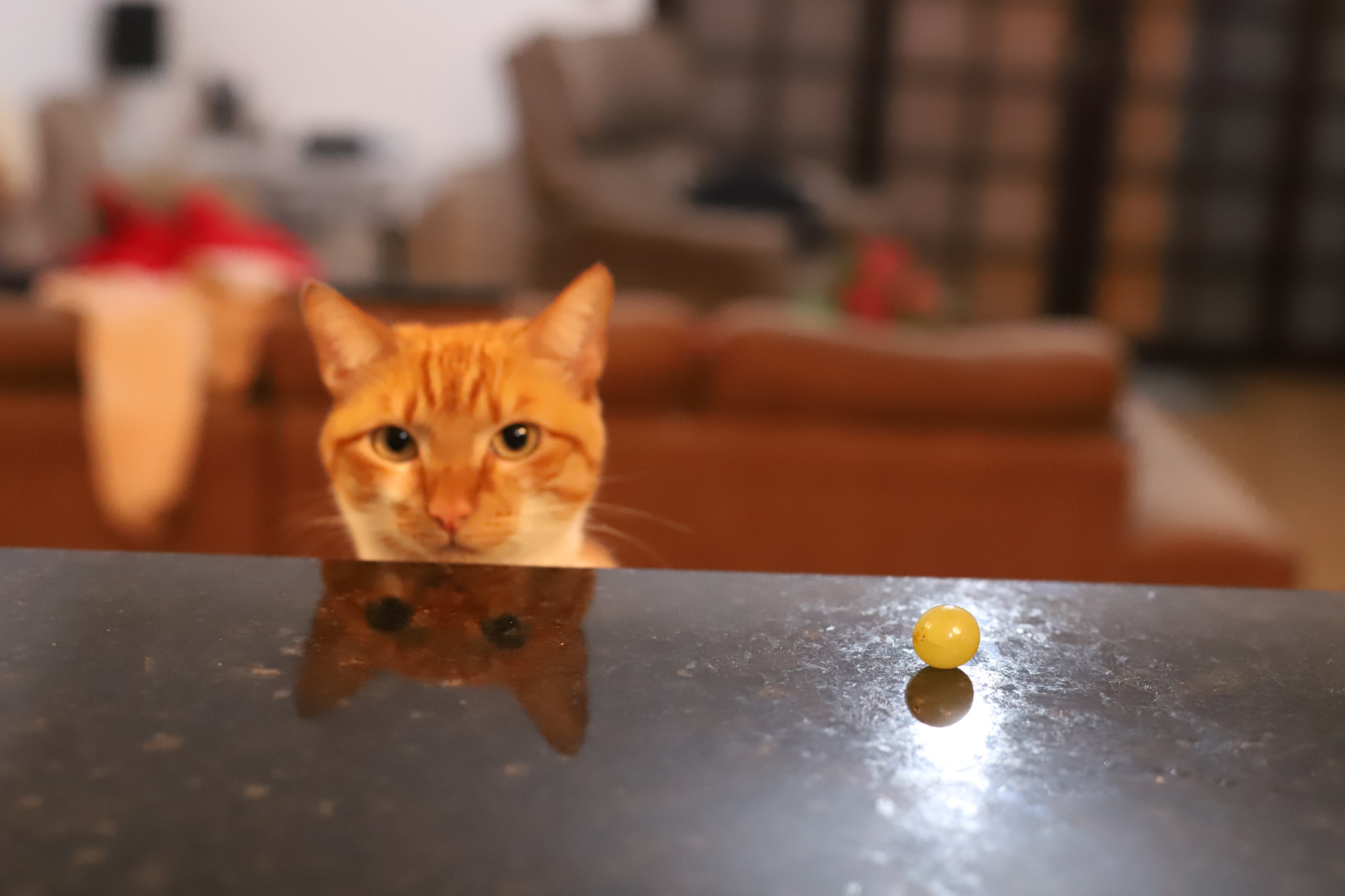 Canon EOS 6D Mark II sample photo