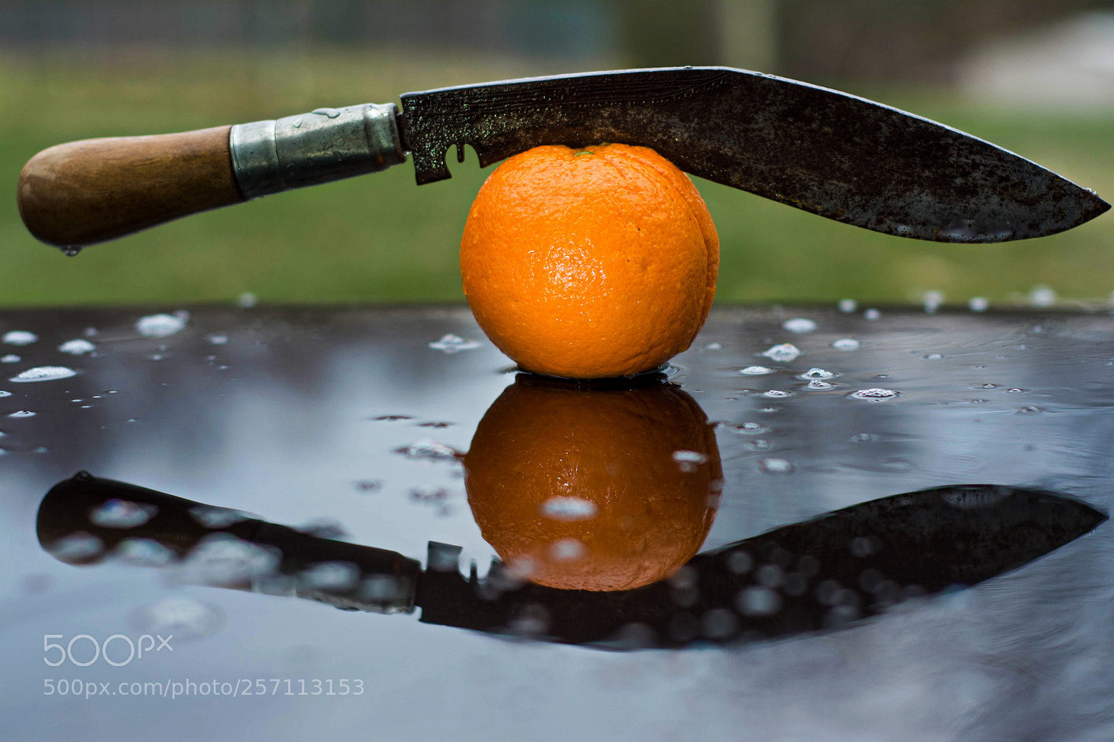 Nikon D7100 sample photo. Untitled photography