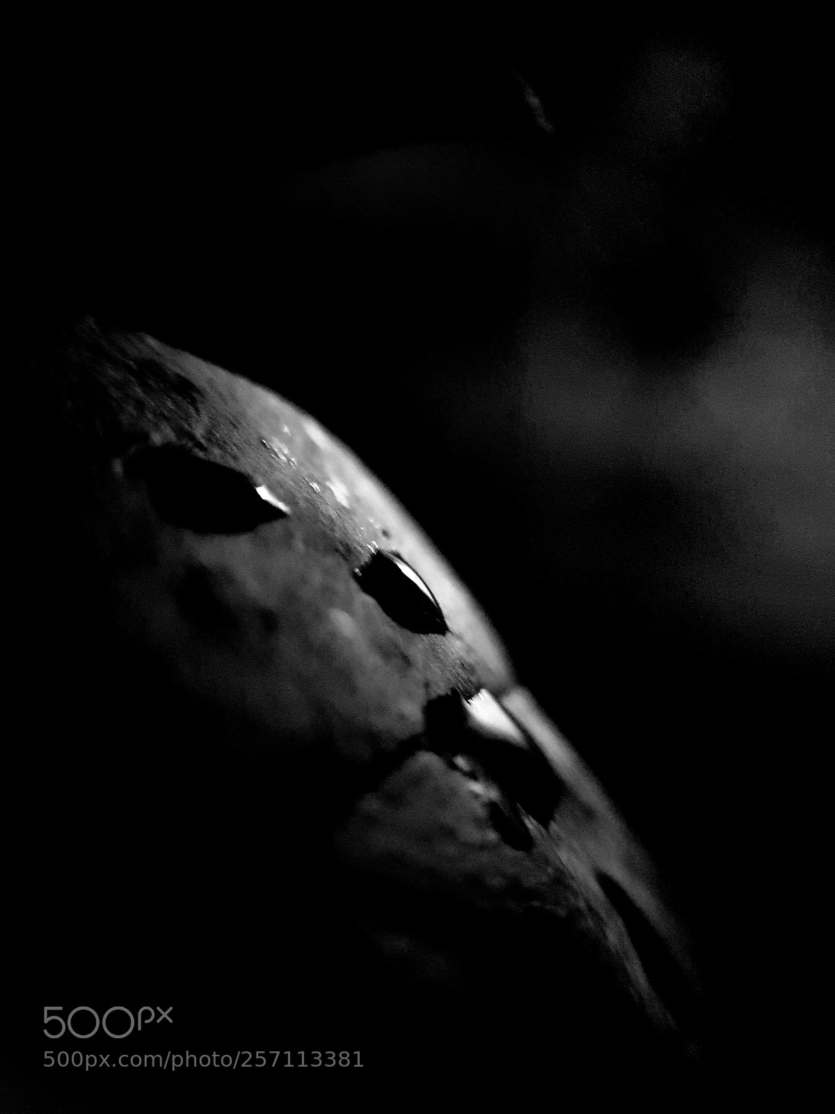 Samsung Galaxy S9+ sample photo. Dark nature photography