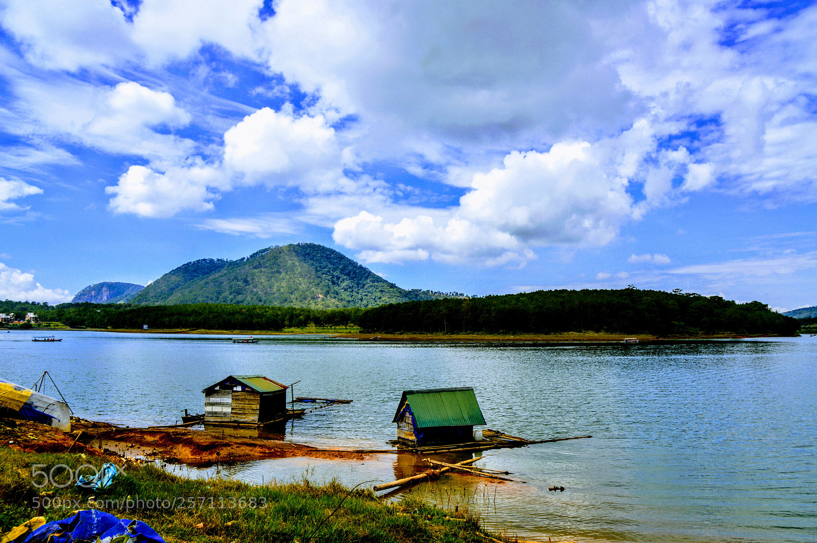Nikon D3200 sample photo. Untitled photography