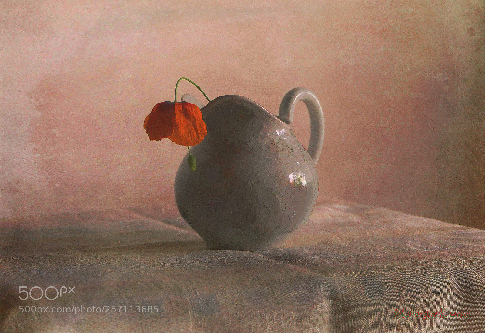 Panasonic Lumix DMC-FZ2500 (Lumix DMC-FZ2000) sample photo. Still life & poppy photography