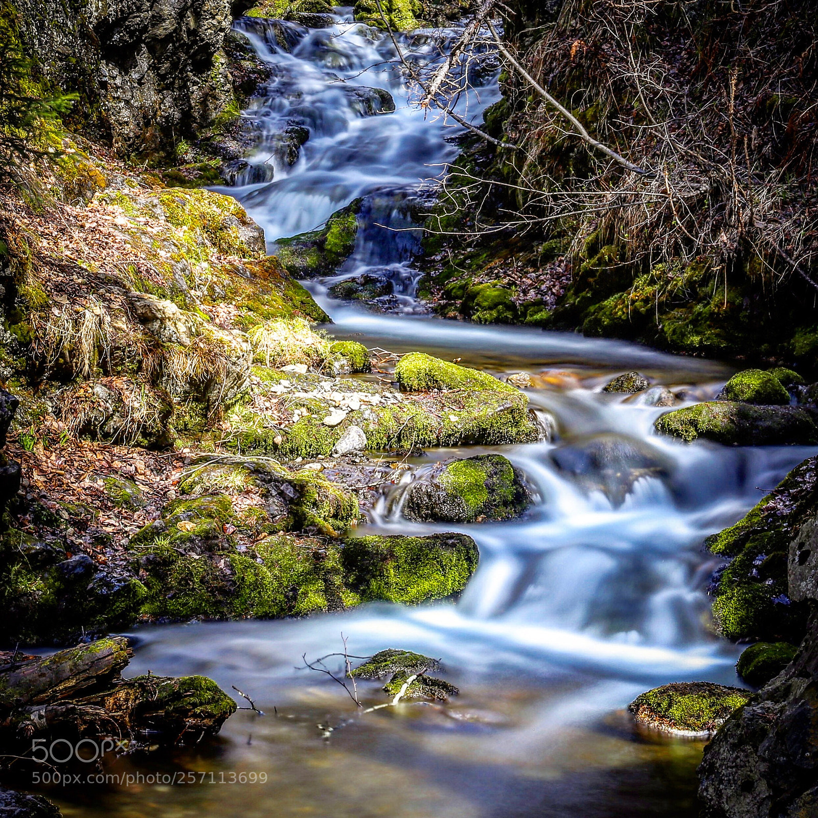Canon EOS 6D sample photo. A small alaska creek photography