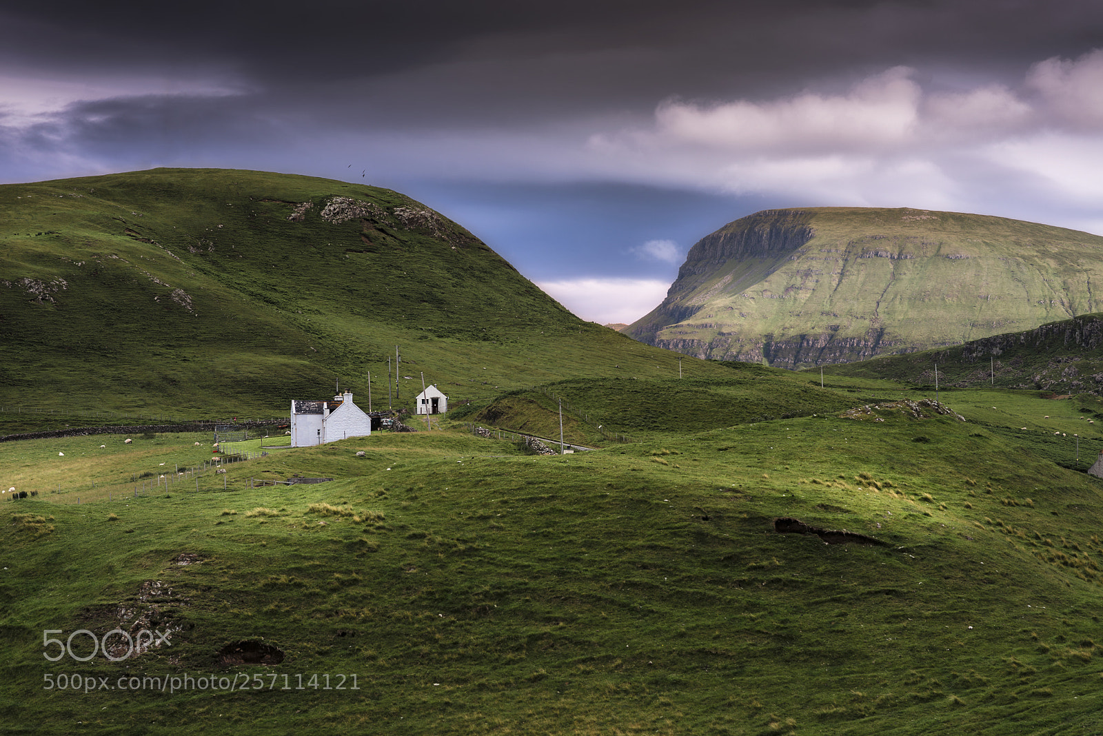 Nikon D800 sample photo. Sky of skye photography