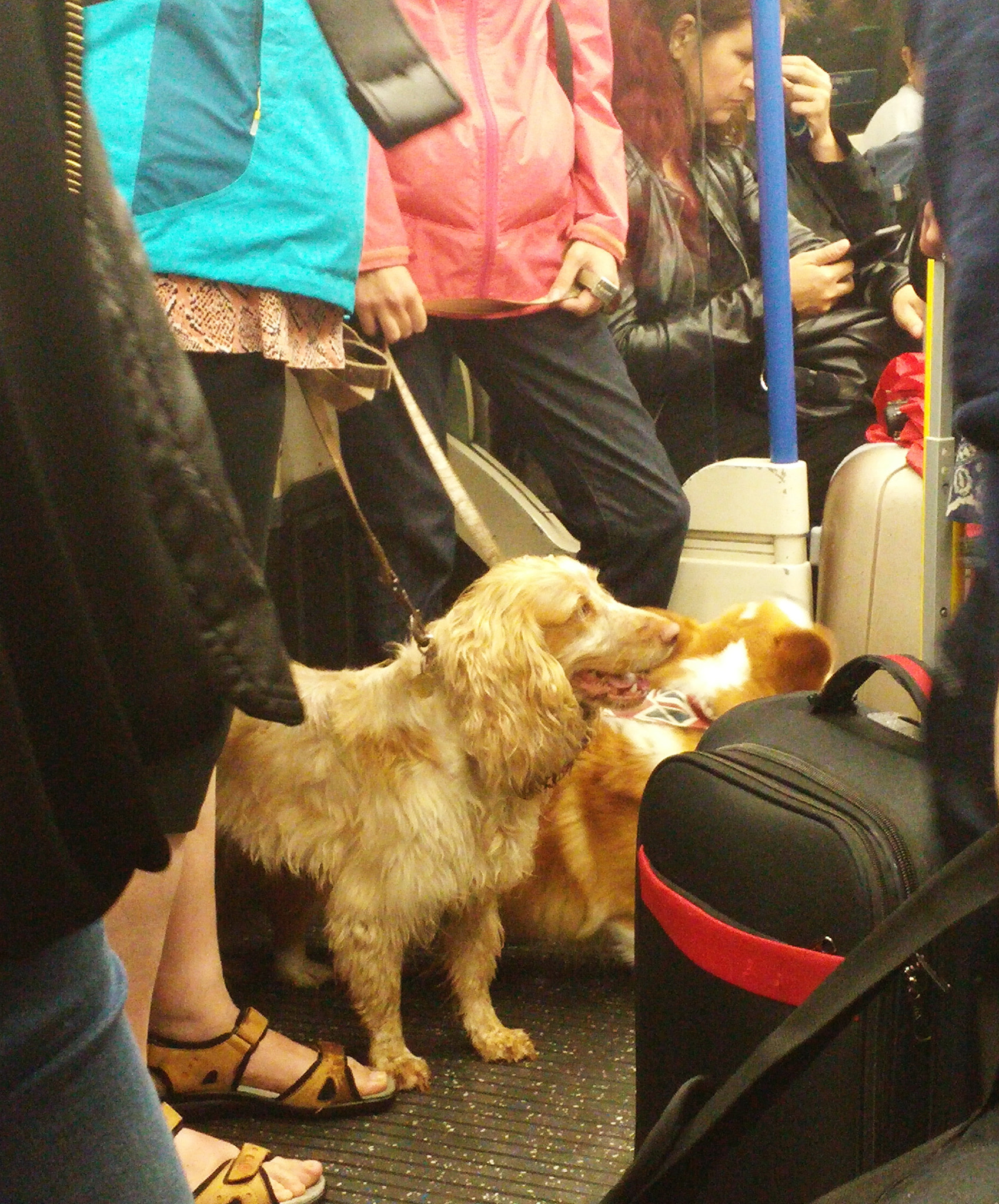 LG G3 sample photo. London underground photography