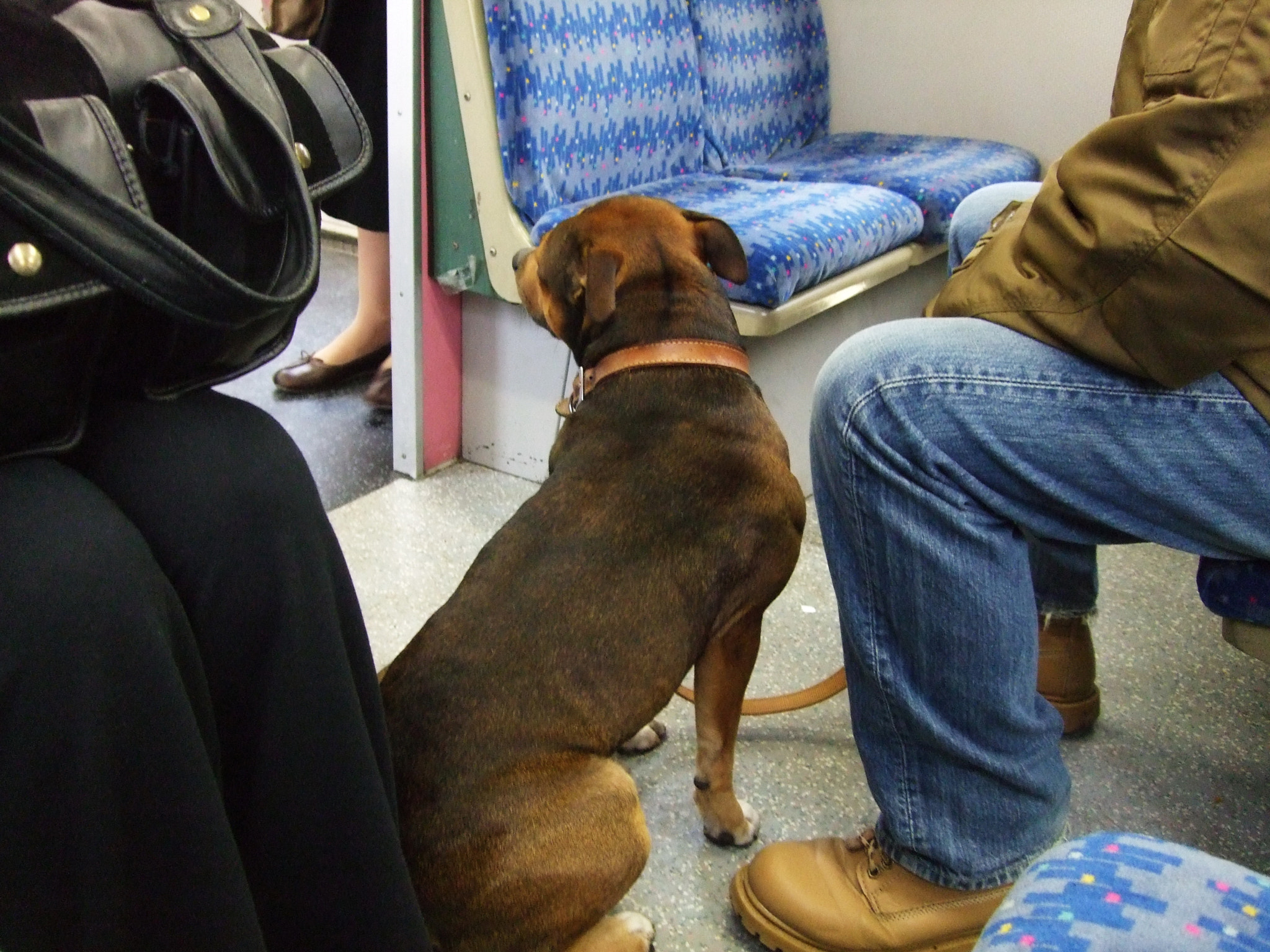 Fujifilm FinePix F40fd sample photo. London underground photography