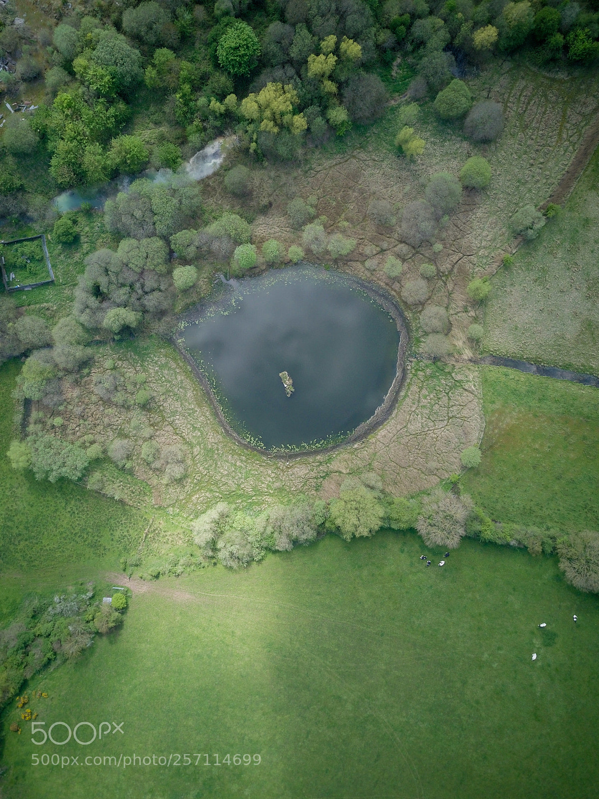 DJI FC220 sample photo. Eye from the sky photography