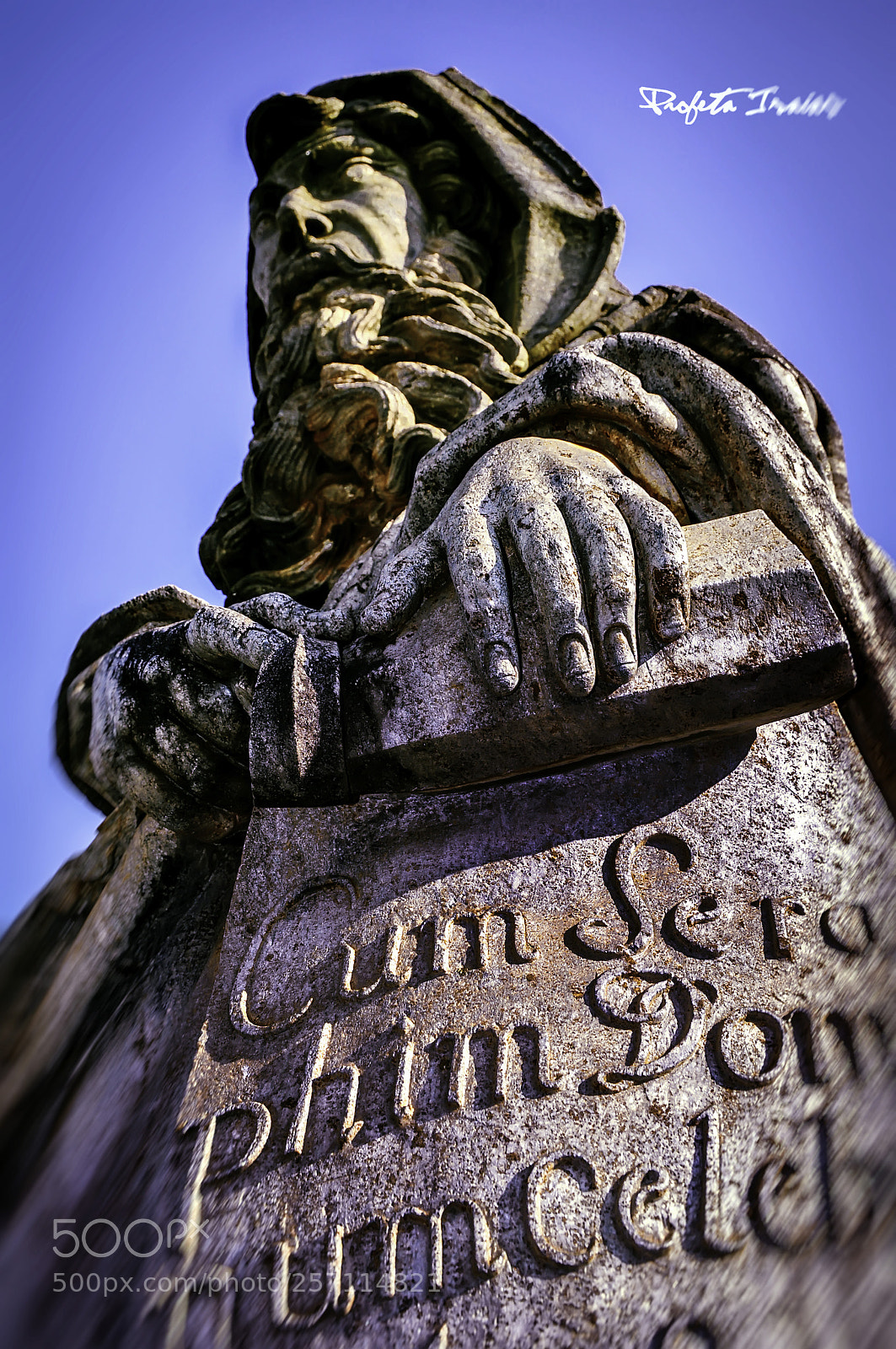 Nikon D90 sample photo. Isaias prophet photography