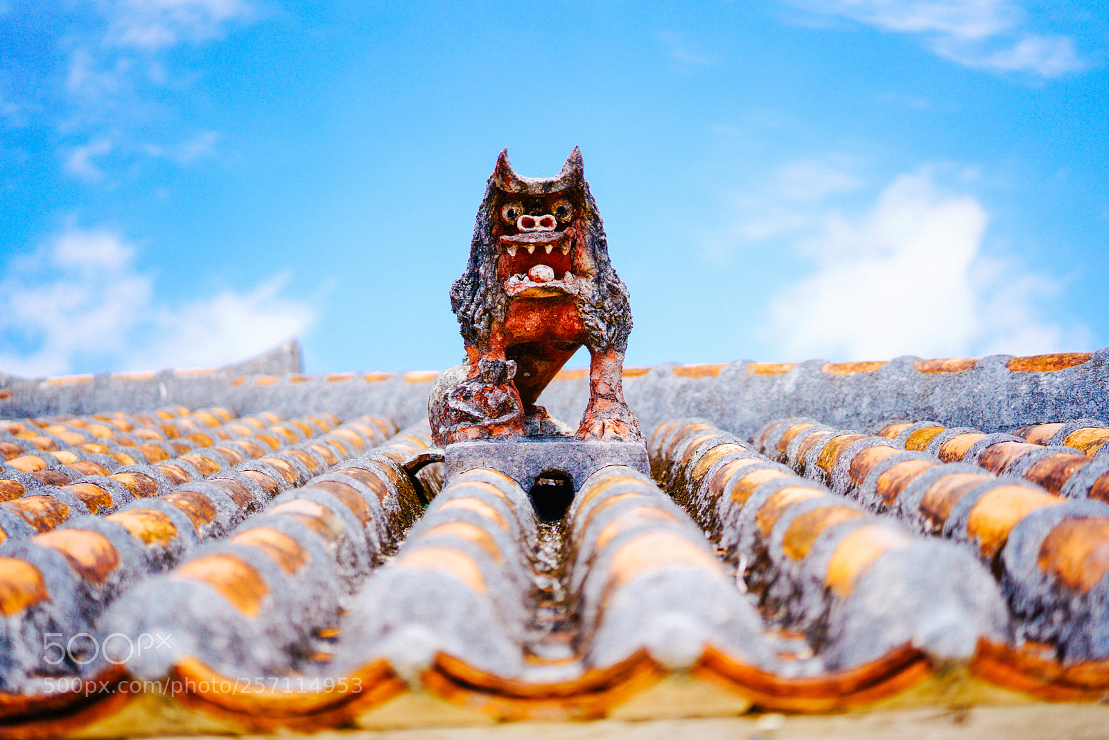 Sony a7R III sample photo. Shisa in okinawa photography