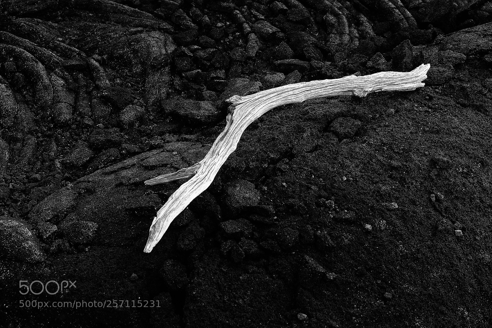 Fujifilm X-Pro2 sample photo. Driftwood on lava flow photography