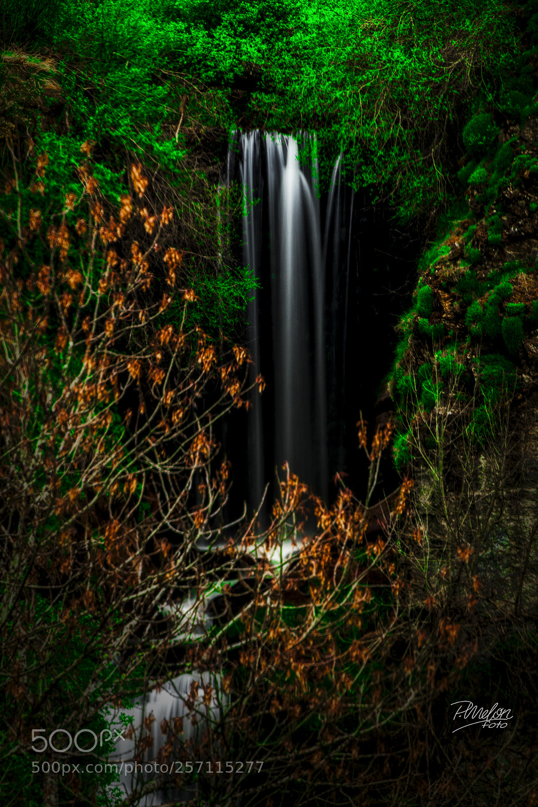 Sony SLT-A68 sample photo. Vida photography