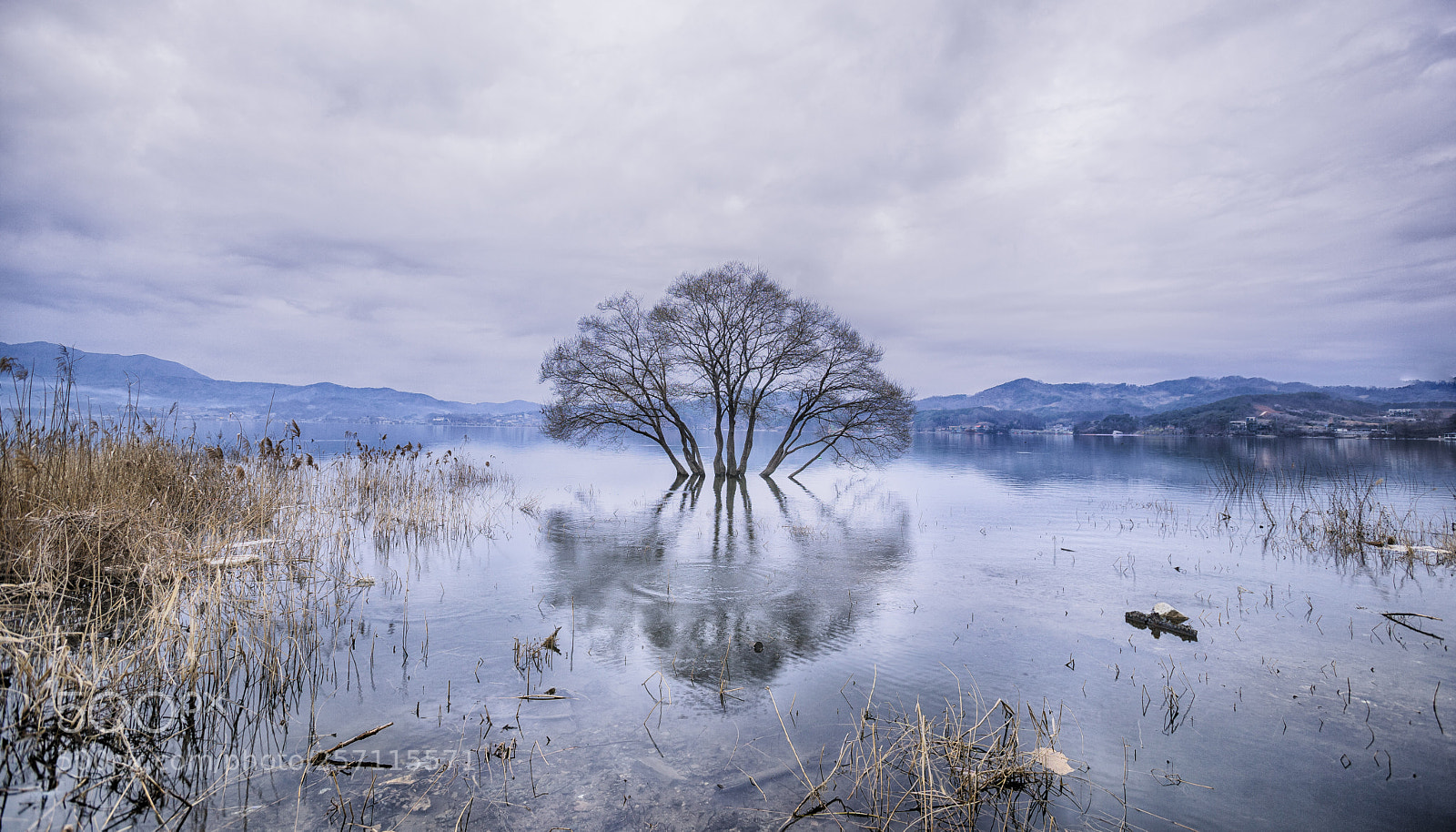Canon EOS 5D Mark II sample photo. Collecting basin photography
