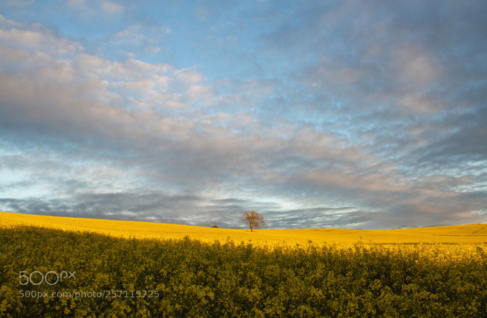 Canon EOS 7D sample photo. Last light photography