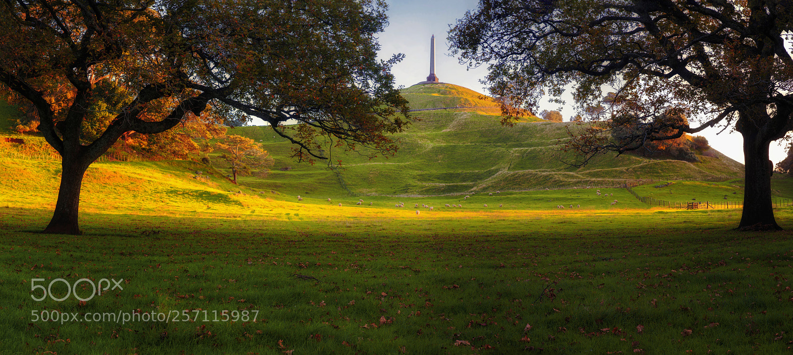 Nikon D800 sample photo. One tree hill photography