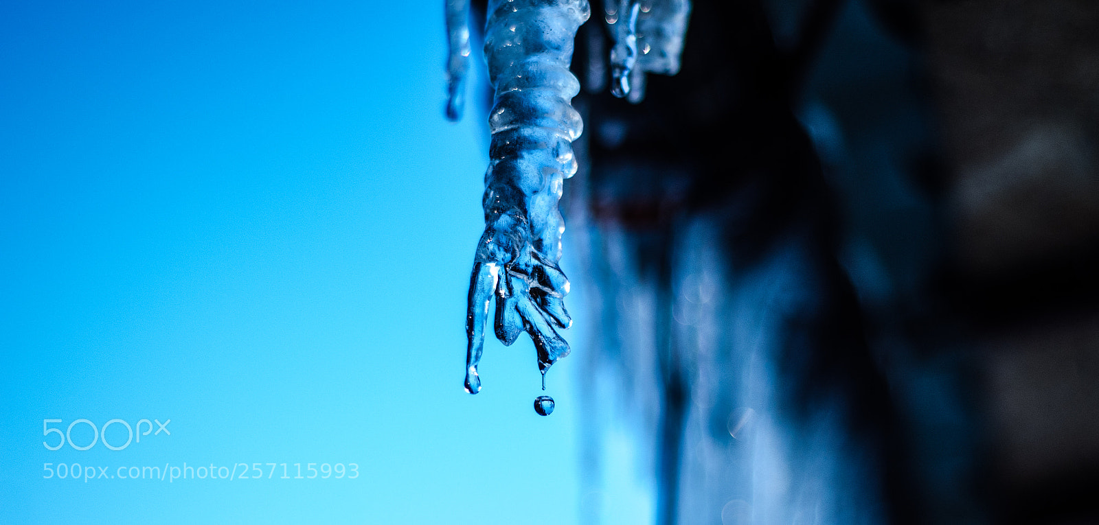 Nikon D7000 sample photo. Untitled photography