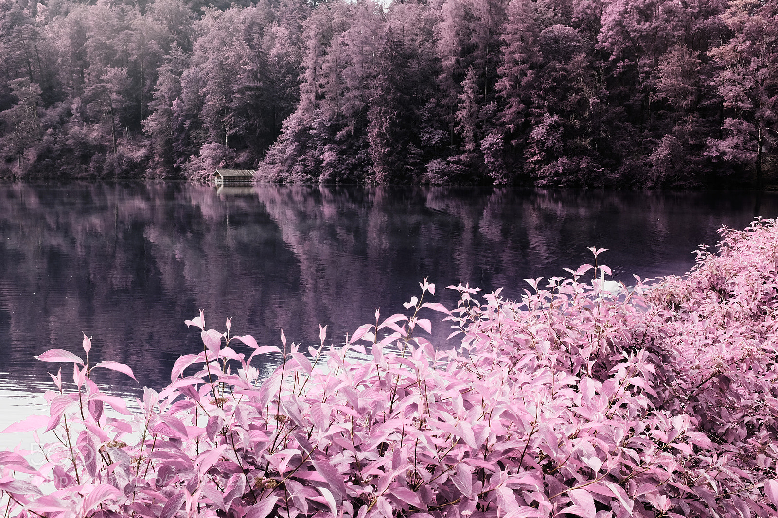 Fujifilm X100T sample photo. El lago photography