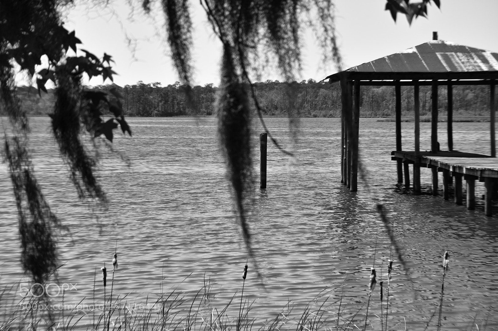 Nikon D3400 sample photo. Rustic bay photography