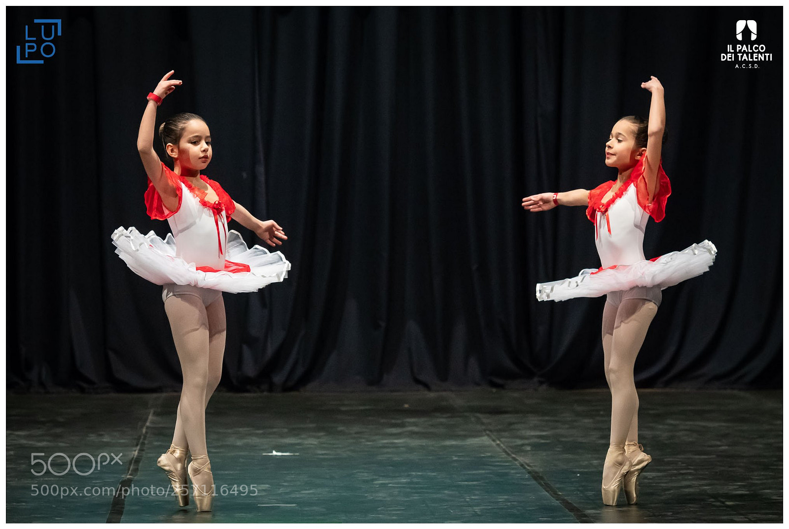 Nikon D850 sample photo. Classica passo a due photography