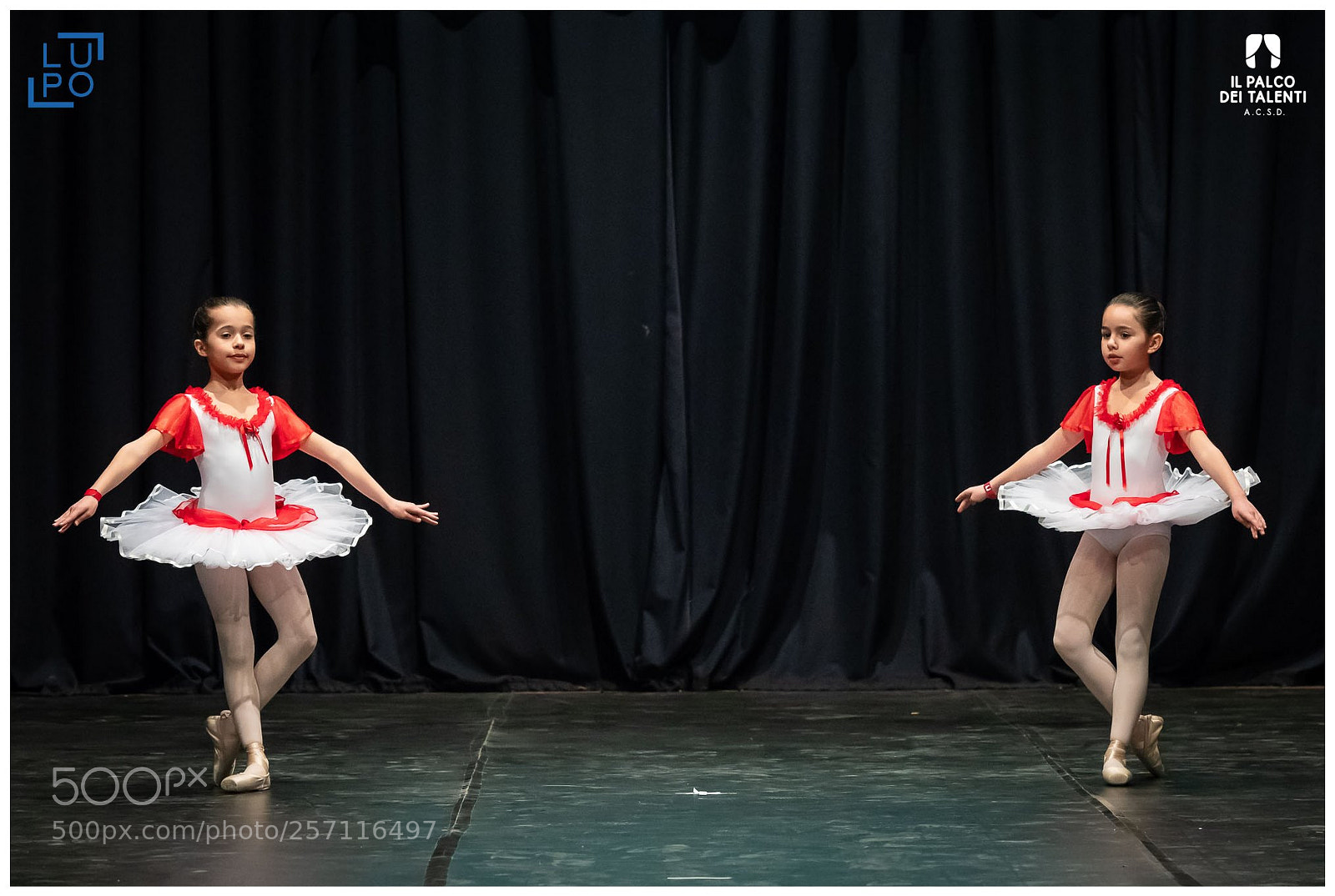 Nikon D850 sample photo. Classica passo a due photography