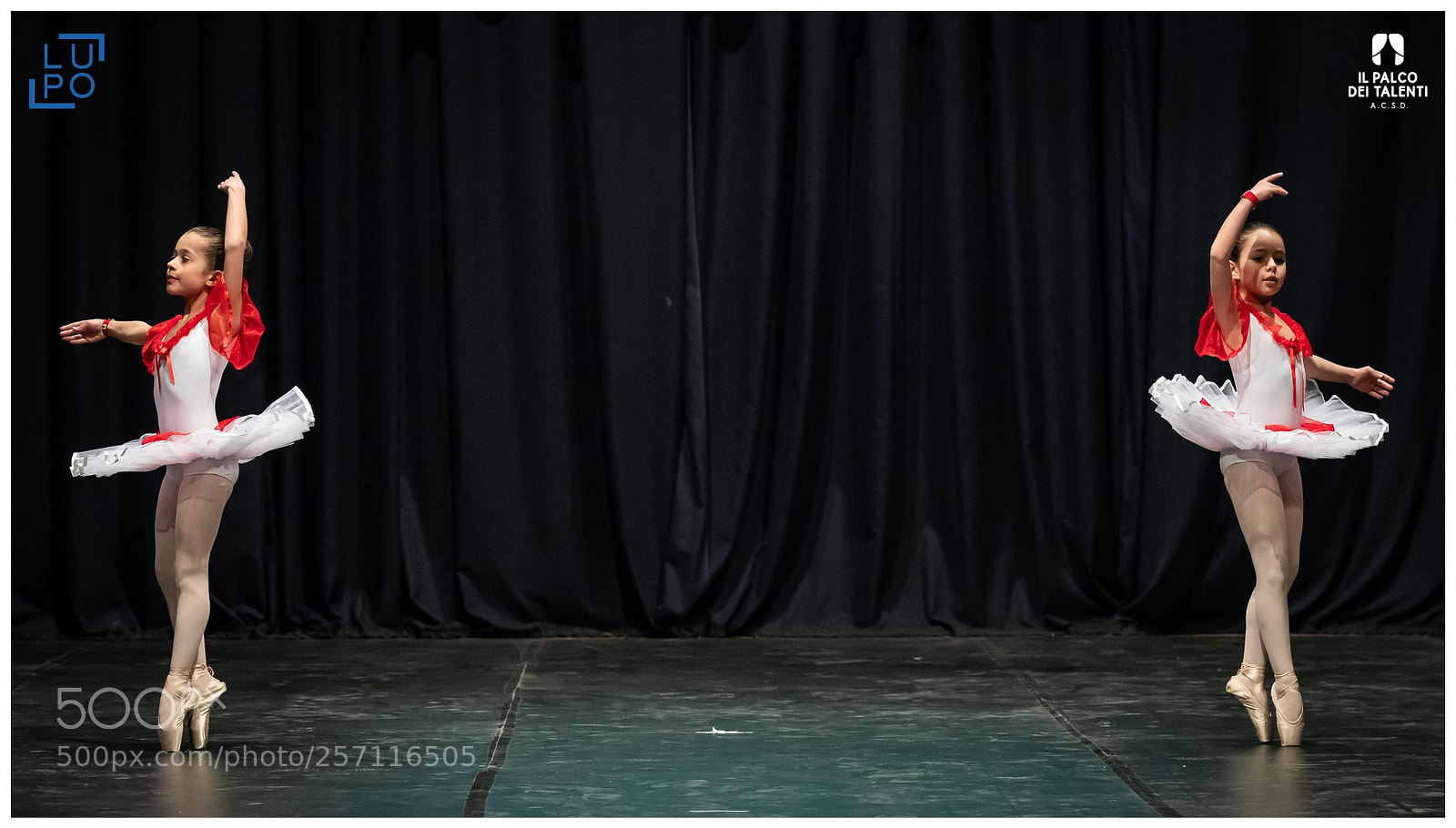 Nikon D850 sample photo. Classica passo a due photography