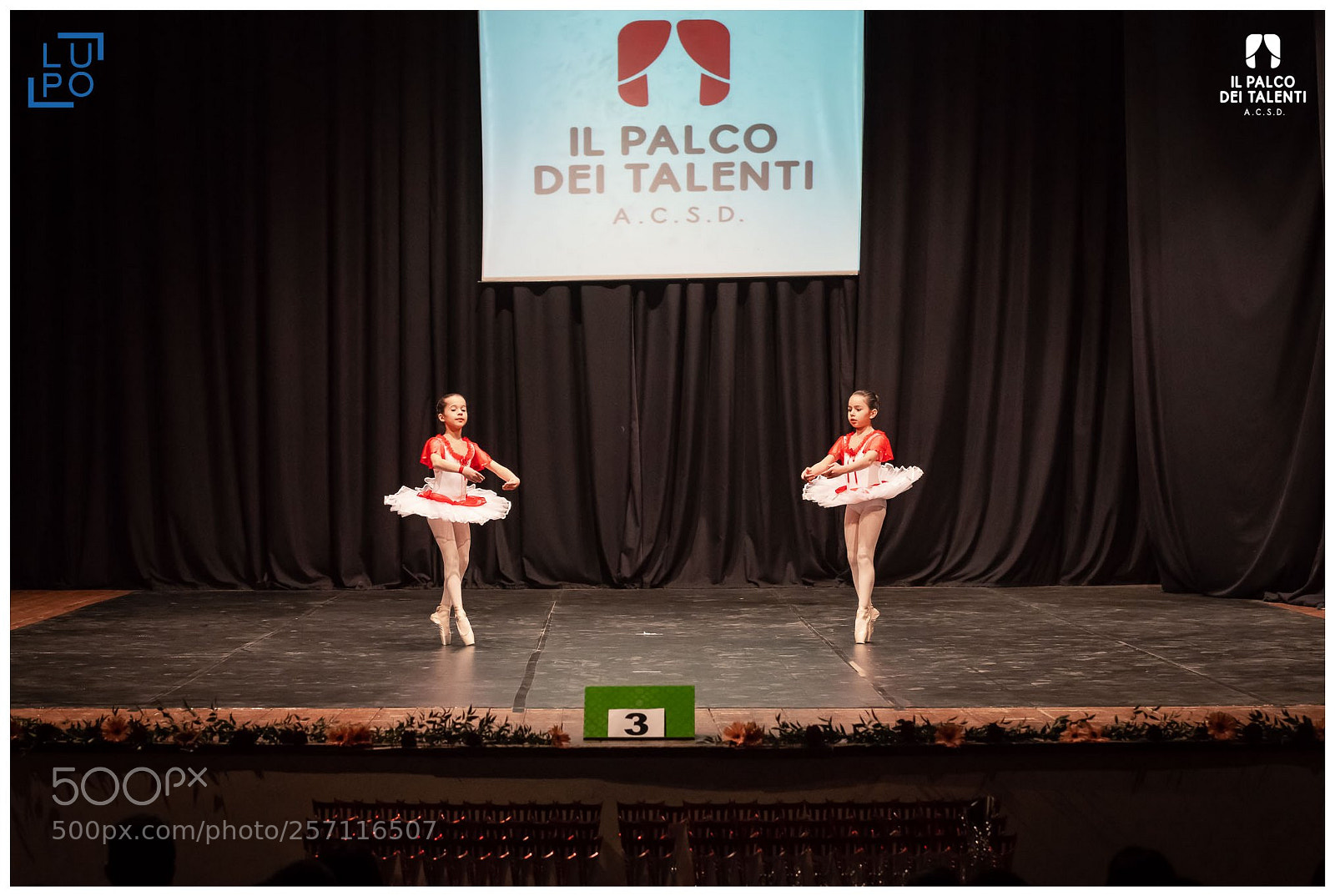 Nikon D850 sample photo. Classica passo a due photography