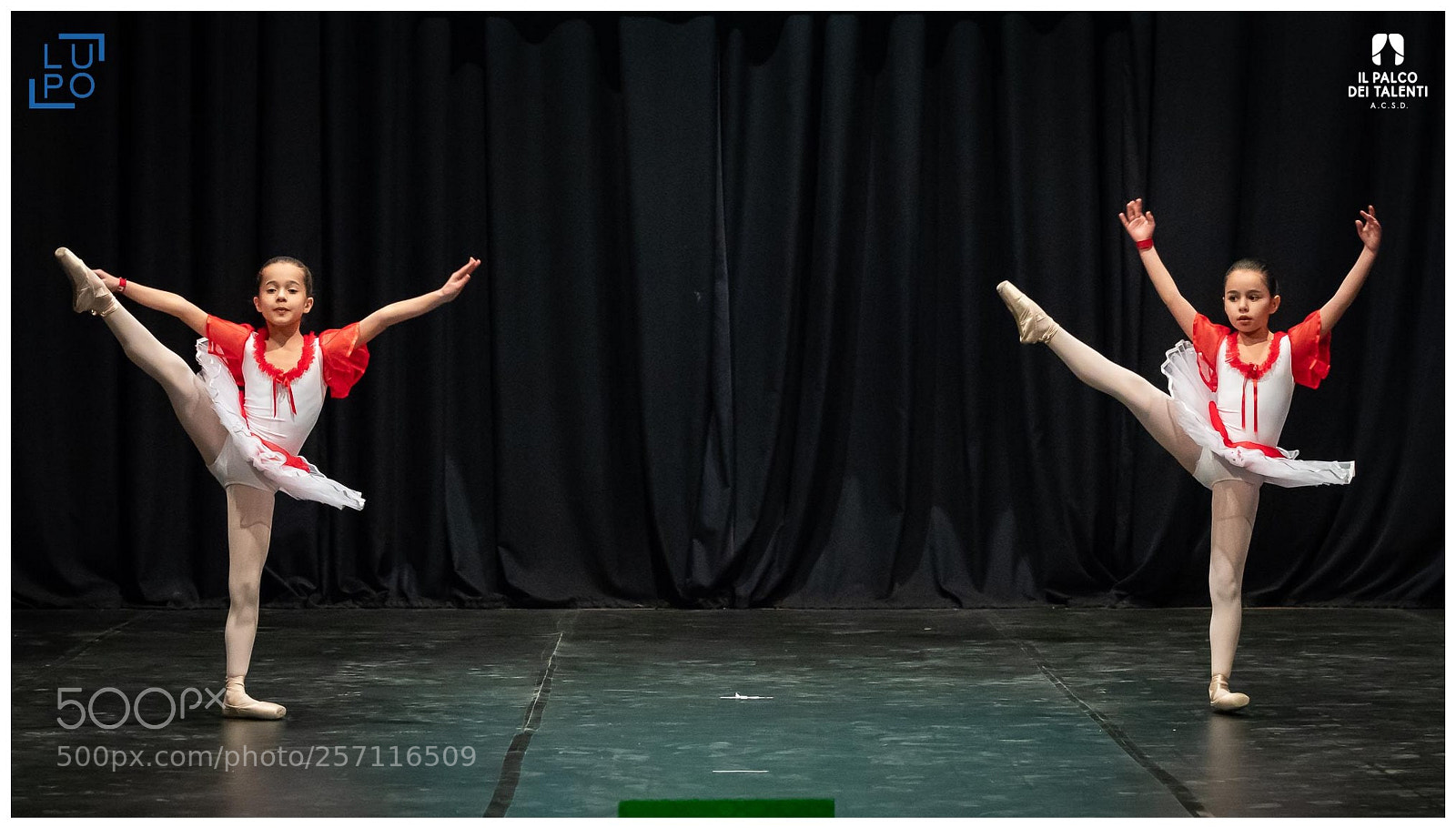 Nikon D850 sample photo. Classica passo a due photography