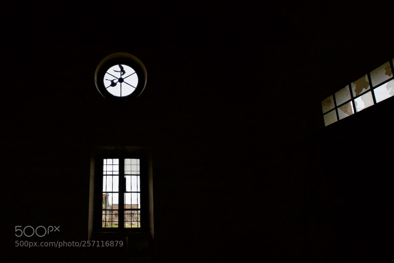 Nikon D800 sample photo. Stazione selci lama photography