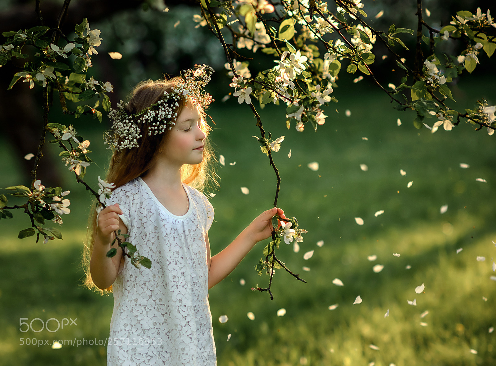 Nikon D800 sample photo. Немножечко волшебства photography