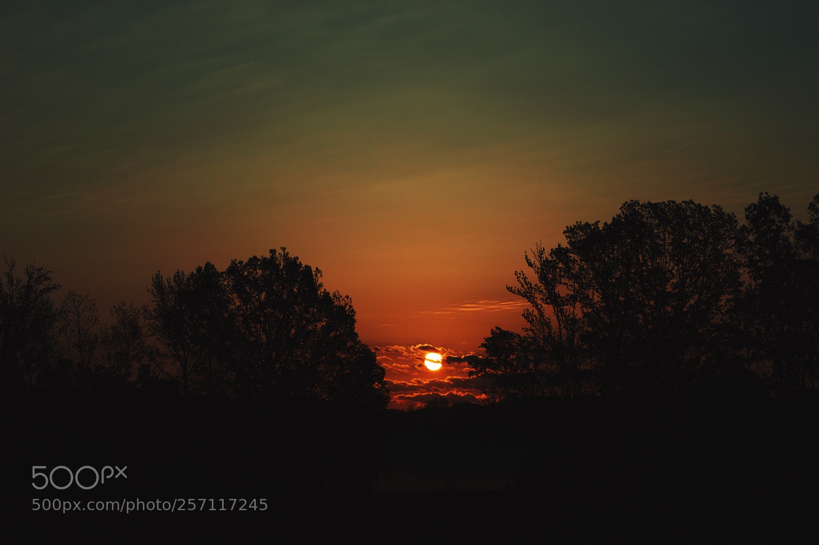 Nikon D3200 sample photo. Fiery
 photography