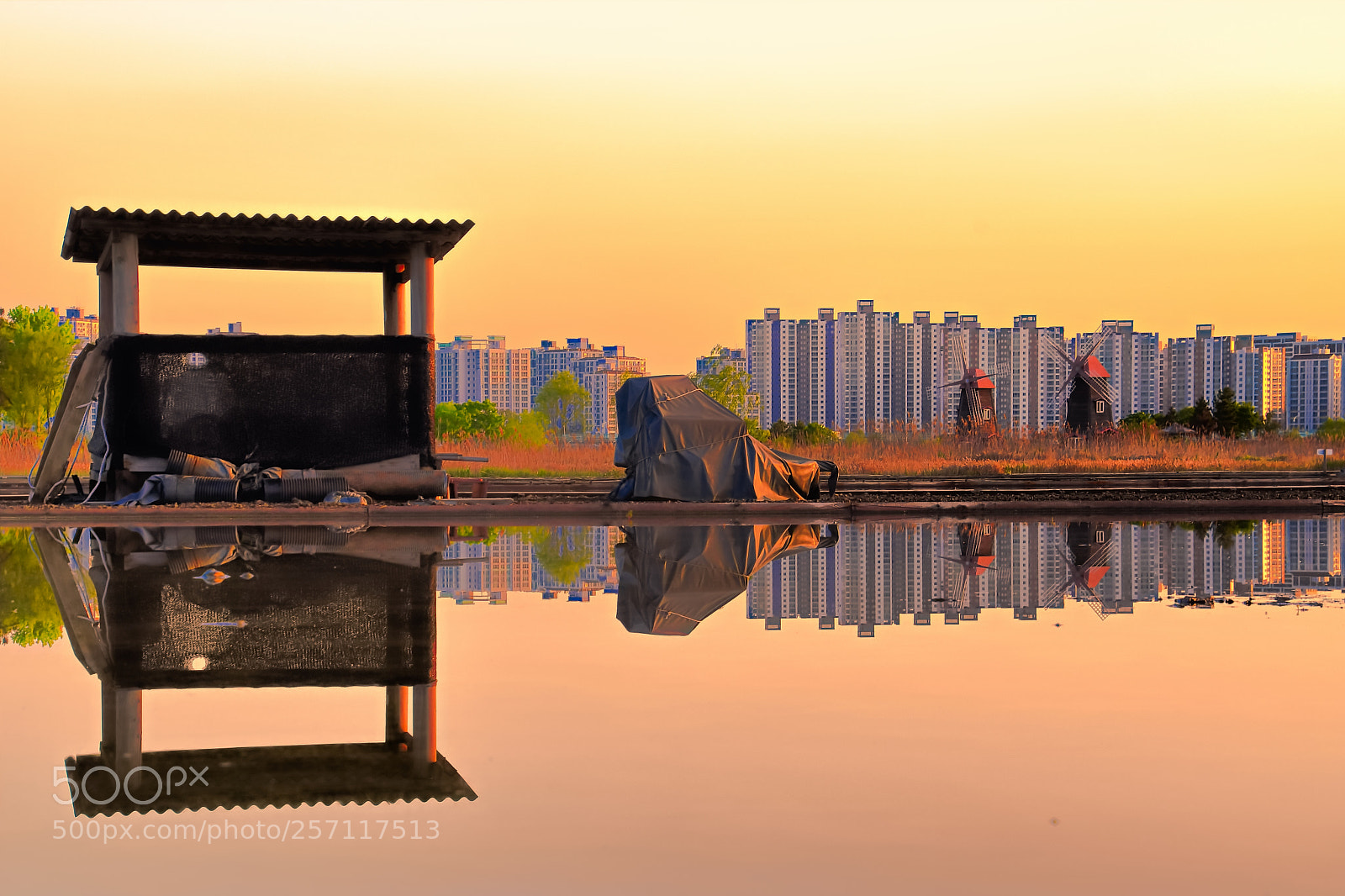 Nikon D500 sample photo. Reflection photography
