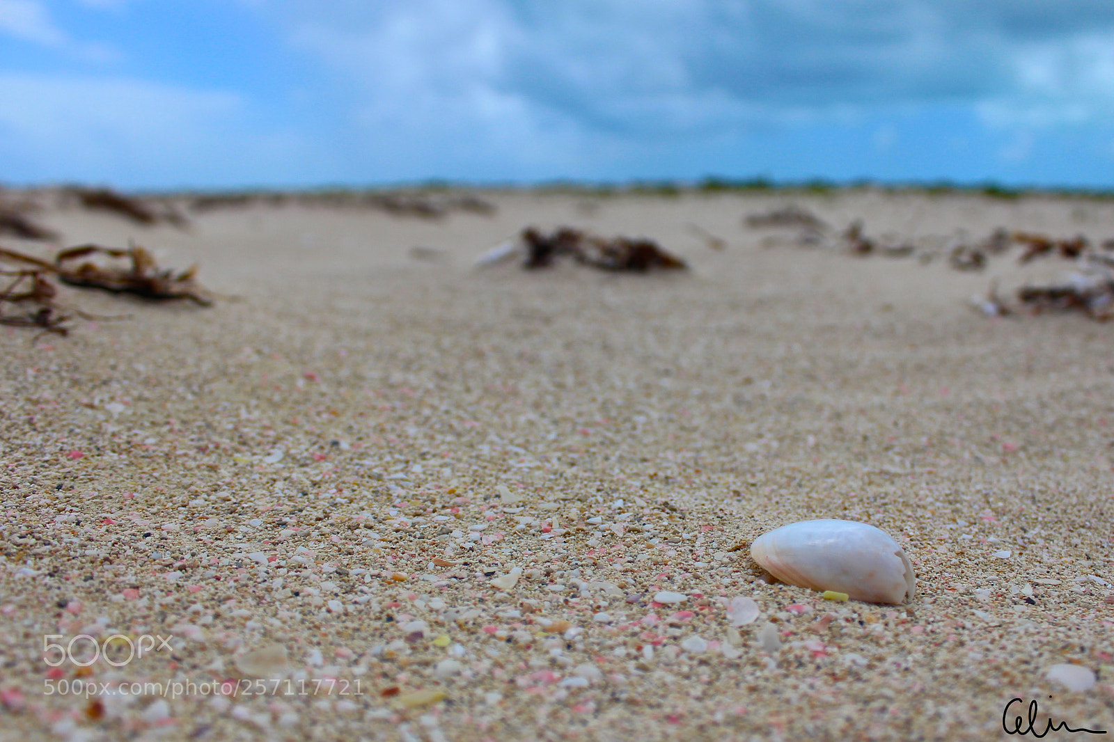 Canon EOS 100D (EOS Rebel SL1 / EOS Kiss X7) sample photo. Pink sand - barbuda photography