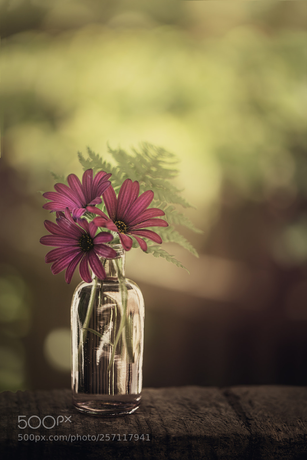 Nikon D600 sample photo. Garden gift photography