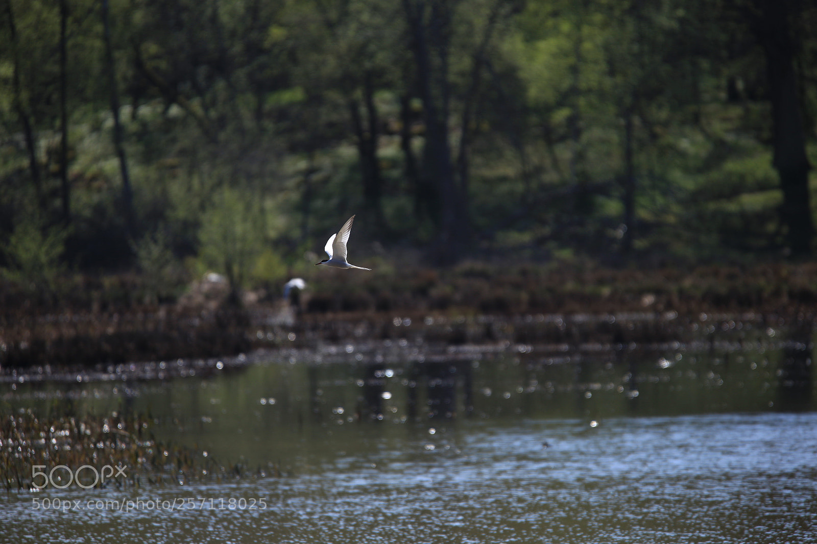 Canon EOS 6D sample photo. Untitled photography