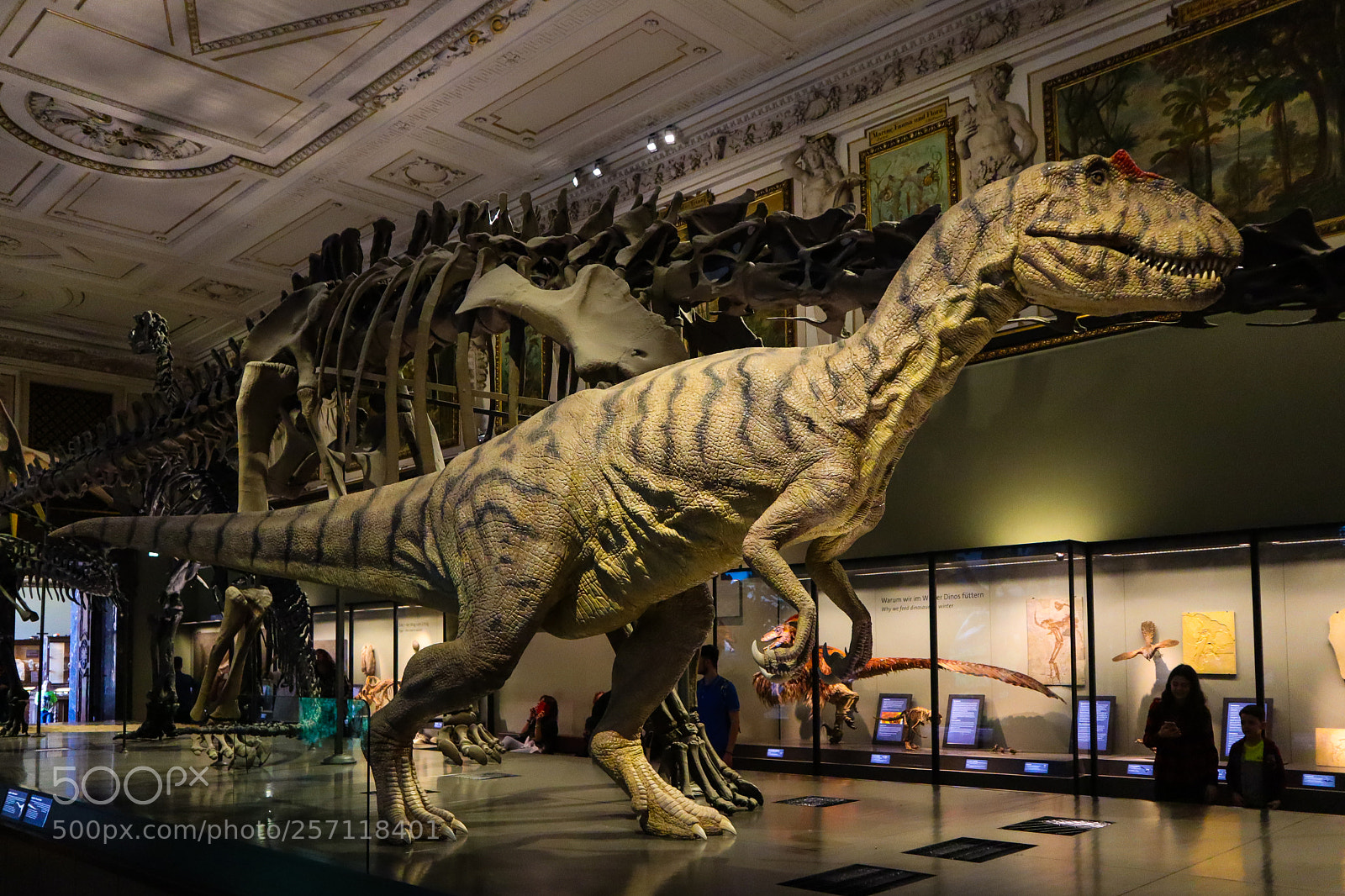 Canon EOS M50 (EOS Kiss M) sample photo. Vienna: allosaurus fragilis photography